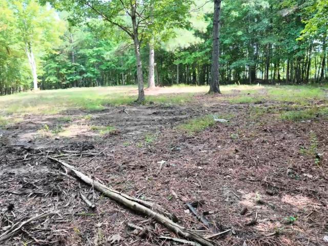 Land for sale in Tennessee