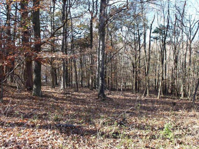 Land for sale in Eddyville, Kentucky