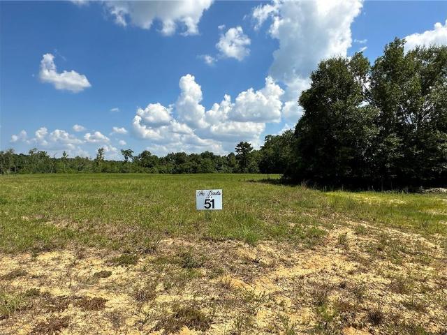 Land for sale in Franklinton, Louisiana