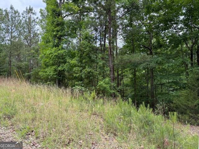 Land for sale in Elbert, Georgia