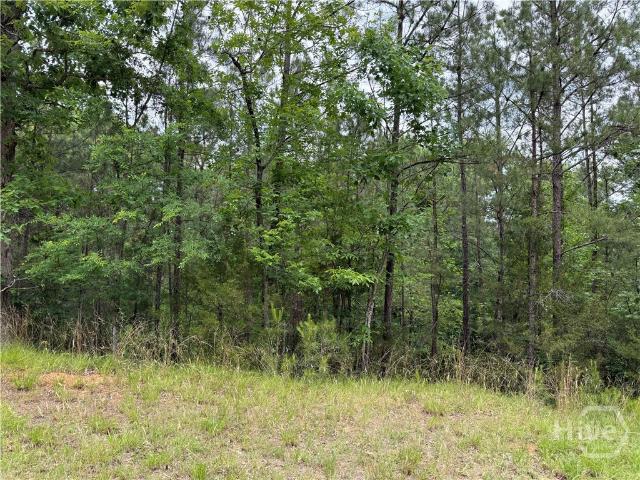 Land for sale in Elbert, Georgia