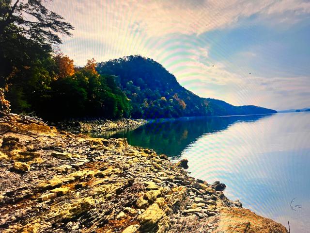 Land for sale in Tennessee