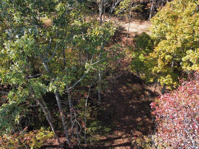 Land for sale in Wolfe, Kentucky