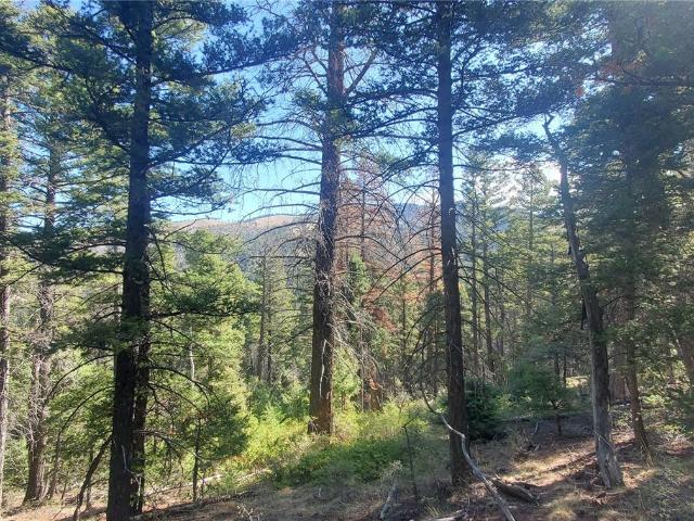 Land for sale in Fort Garland, Colorado