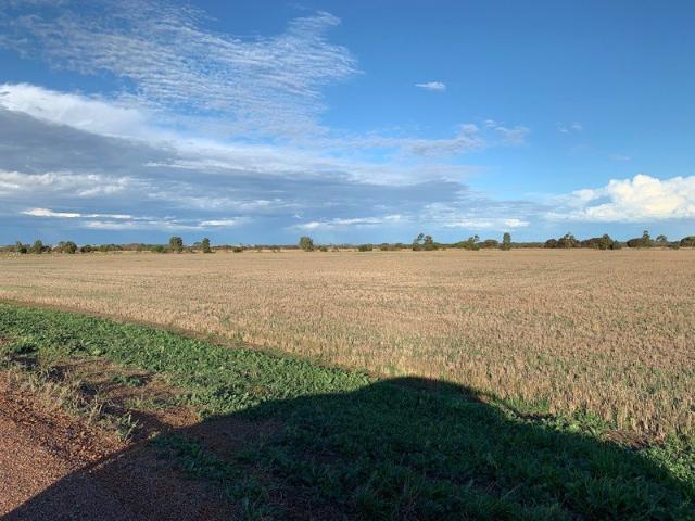 Land for sale in Hopetoun, Western Australia