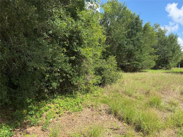 Land for sale in Palacios, Texas