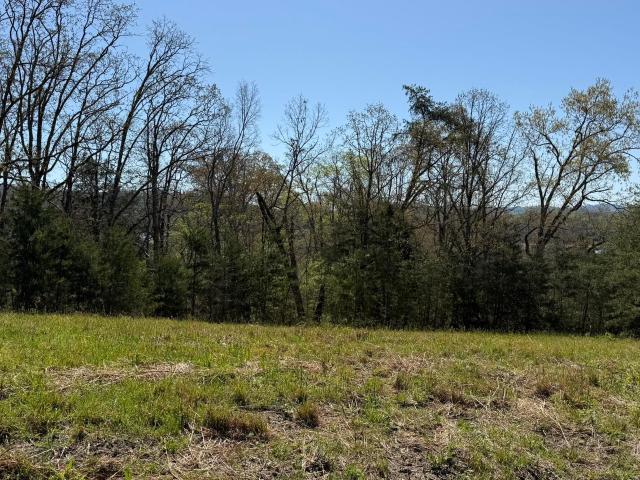 Land for sale in Tennessee