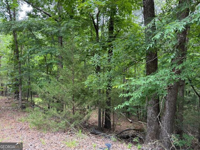 Land for sale in Elbert, Georgia