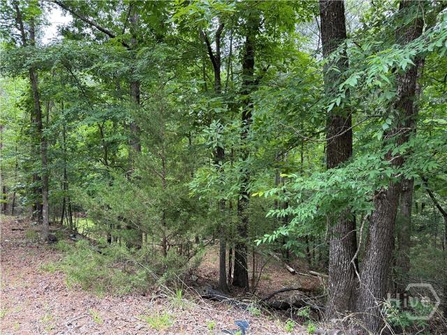 Land for sale in Elbert, Georgia
