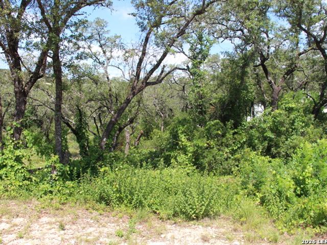 Land for sale in Medina, Texas
