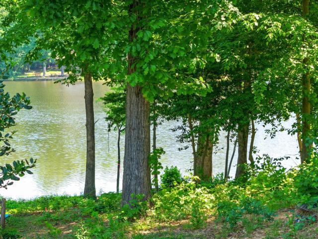 Land for sale in Virginia