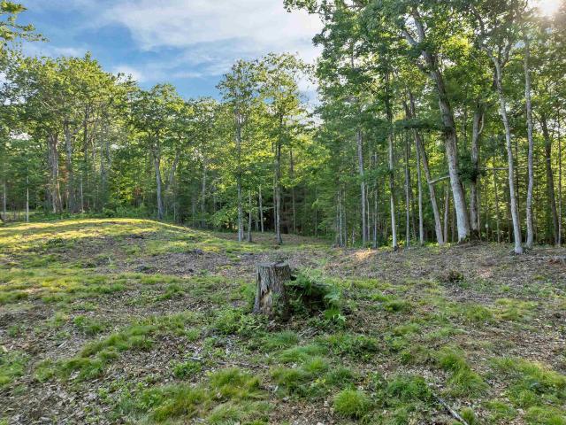 Land for sale in New Hampshire