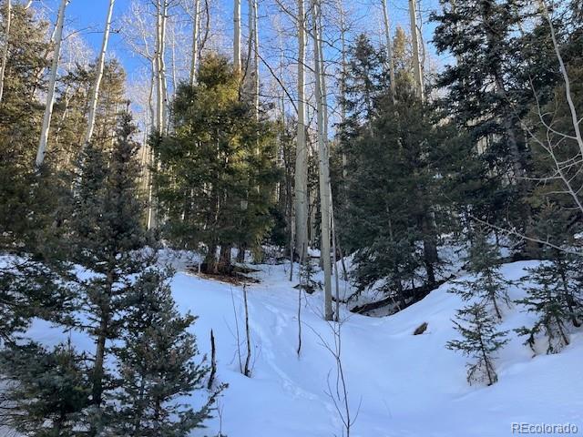 Land for sale in Fort Garland, Colorado