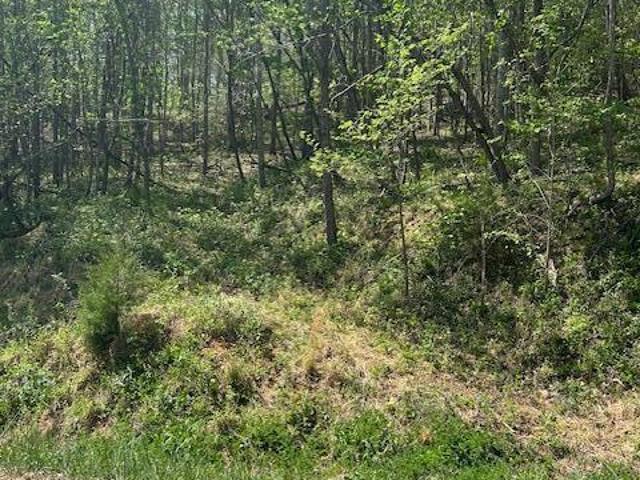 Land for sale in Tennessee