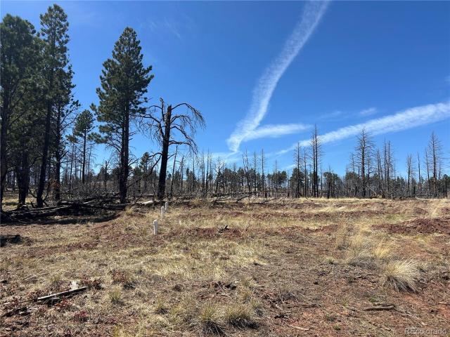 Land for sale in Fort Garland, Colorado
