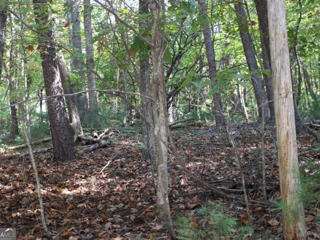 Land for sale in Gilmer, Georgia