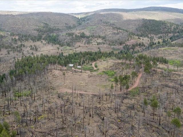 Land for sale in Fort Garland, Colorado