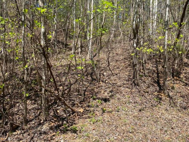 Land for sale in Tennessee