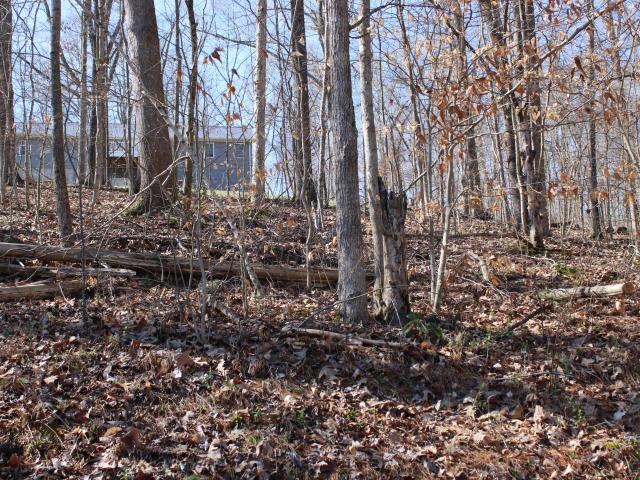 Land for sale in Eddyville, Kentucky