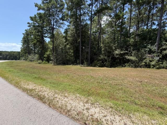 Land for sale in Walker, Texas