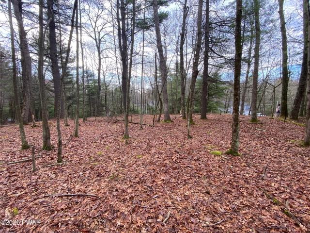 Land for sale in Delaware Township, Pike County