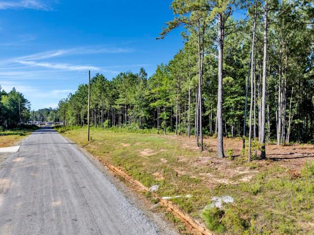 Land for sale in Double Springs, Alabama