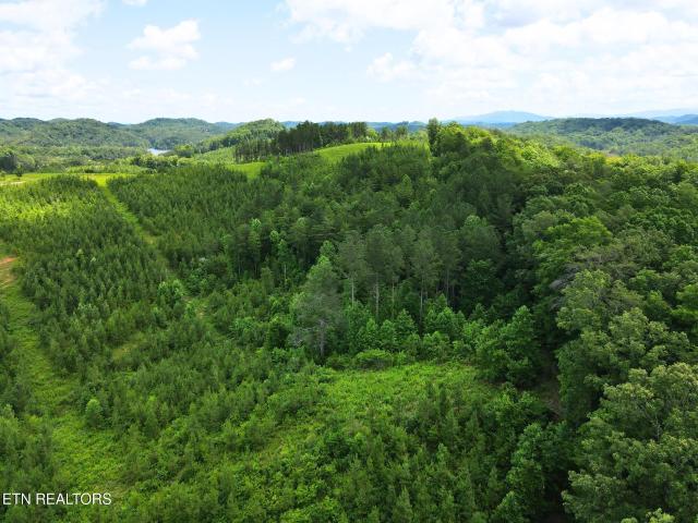 Land for sale in Tennessee