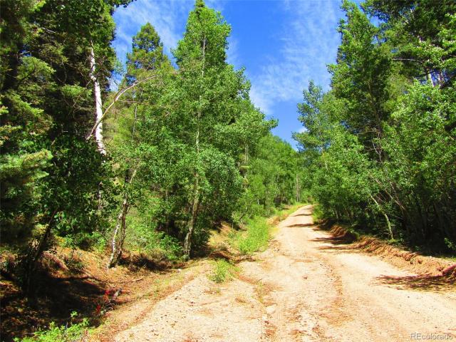 Land for sale in Fort Garland, Colorado