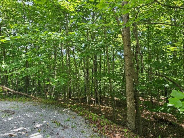 Land for sale in Tennessee