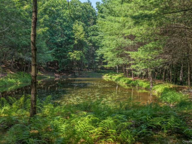 Land for sale in Glen Spey, Sullivan County