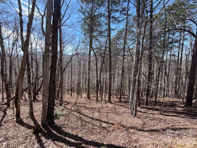 Land for sale in Bryson City, North Carolina