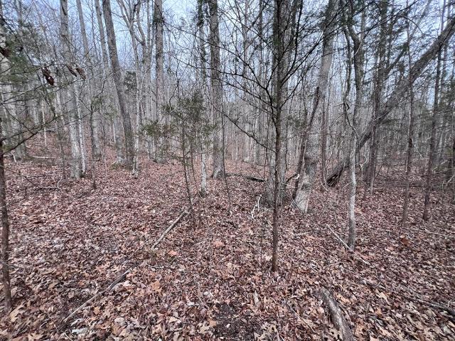 Land for sale in Tennessee