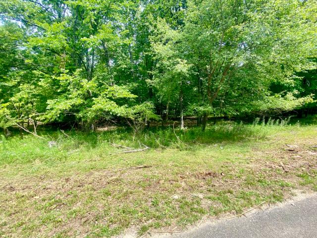 Land for sale in Seneca, Illinois