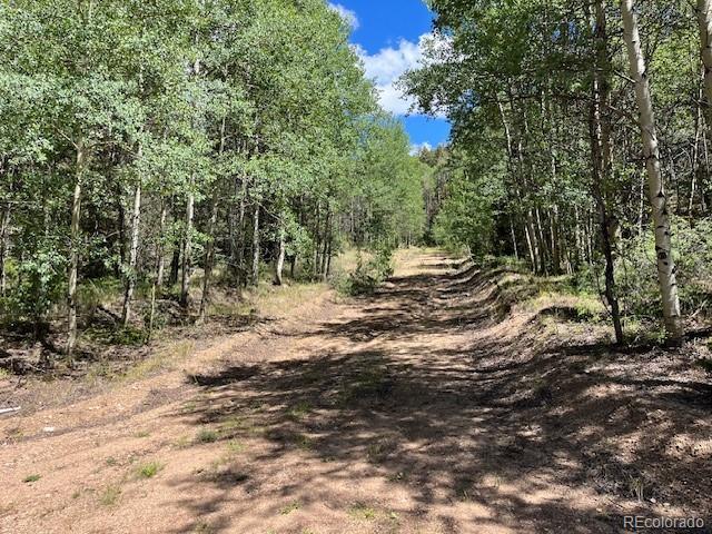 Land for sale in Fort Garland, Colorado