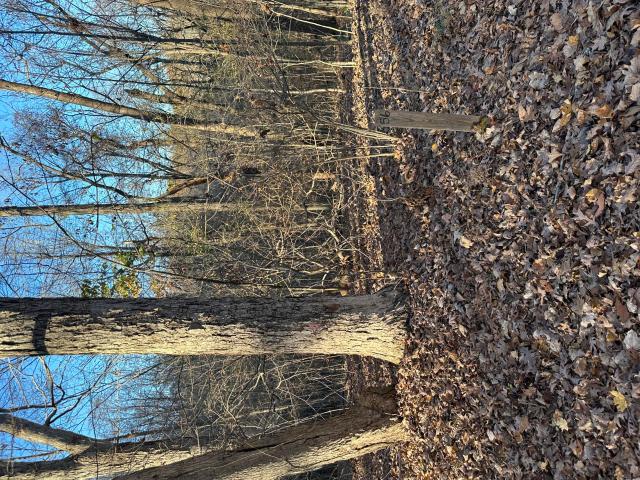 Land for sale in Eddyville, Kentucky