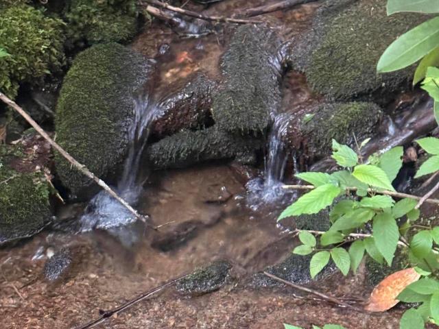 Land for sale in Murphy, North Carolina