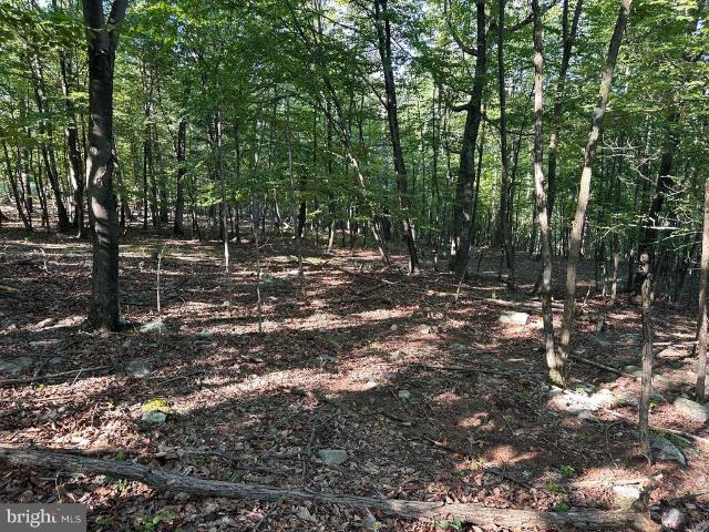 Land for sale in Berkeley Springs, West Virginia