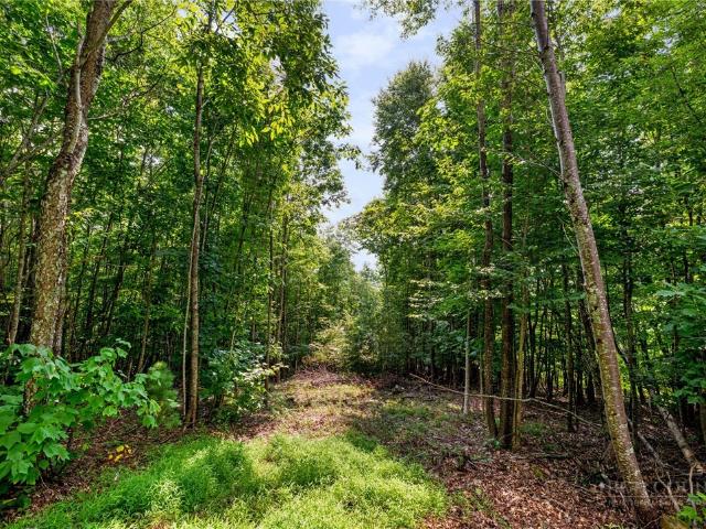 Land for sale in Avery, North Carolina