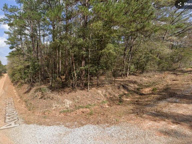 Land for sale in Abbeville, Henry County