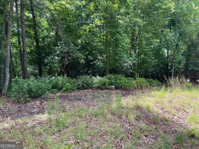 Land for sale in Young Harris, Georgia