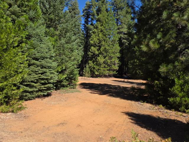 Land for sale in Shingletown, Shasta County