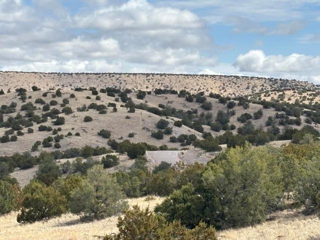 Land for sale in Magdalena, New Mexico