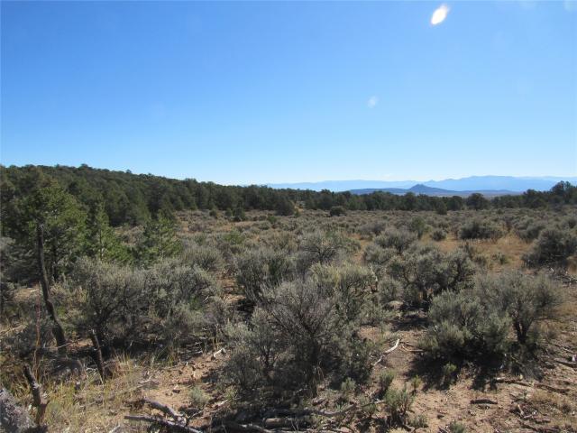 Land for sale in New Mexico