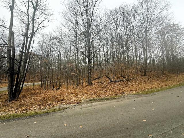 Land for sale in Michigan