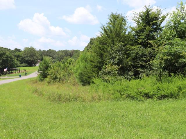 Land for sale in Murray, Kentucky