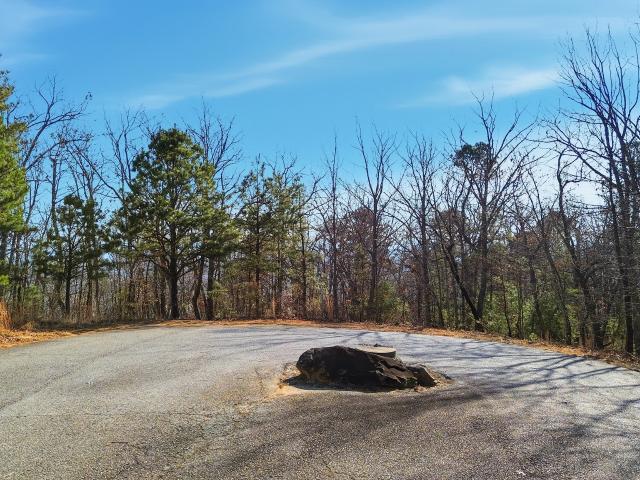 Land for sale in Clarkesville, Georgia