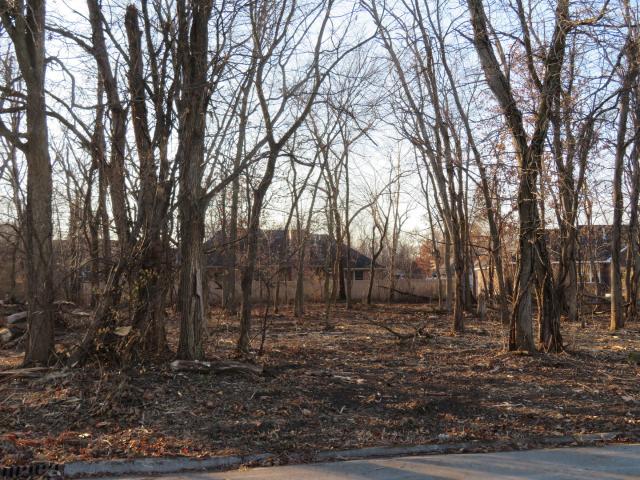 Land for sale in Morris, Illinois
