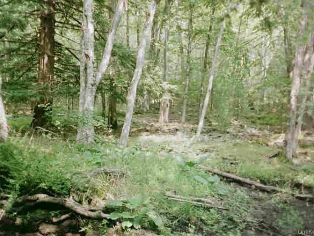 Land for sale in Glen Spey, New York