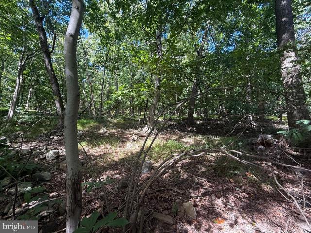 Land for sale in Susquehanna Township, Dauphin County