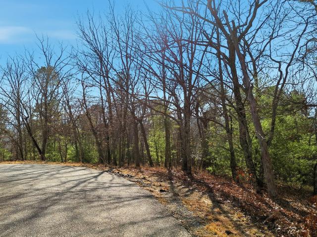 Land for sale in Clarkesville, Georgia